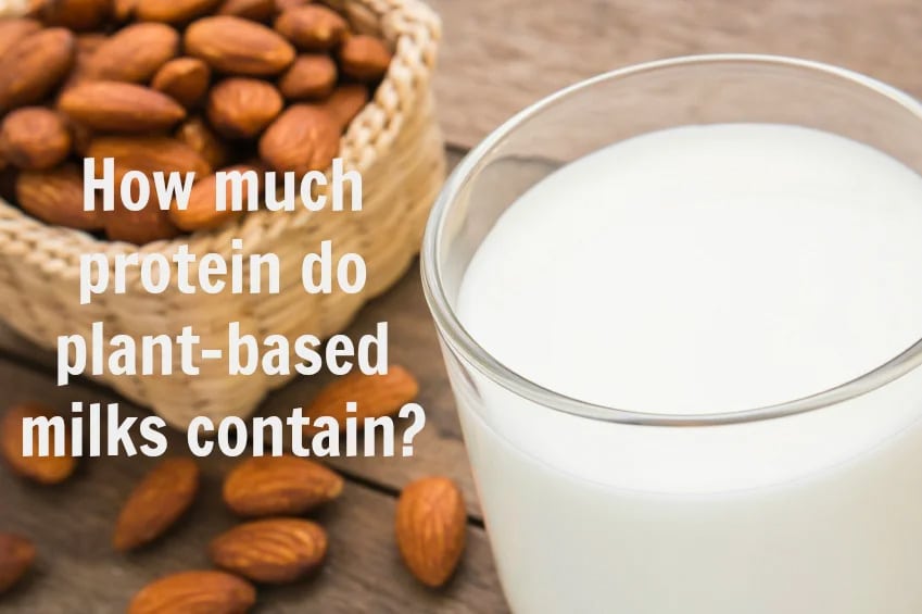 Plant-Based Milks and Protein Content